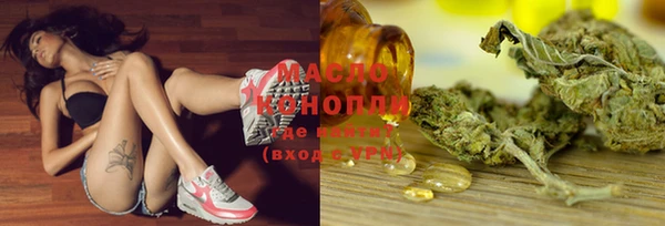 МДПВ Дмитриев