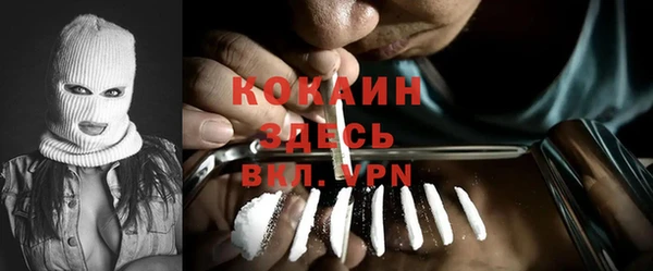 кокс Елизово