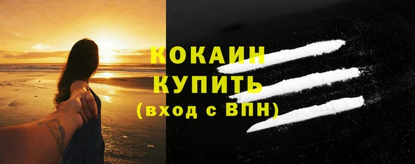 МДПВ Дмитриев