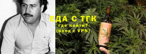 МДПВ Дмитриев