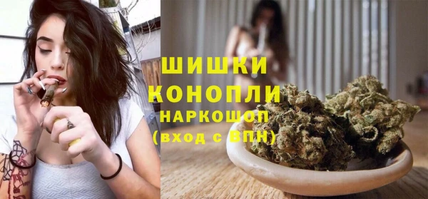 МДПВ Дмитриев