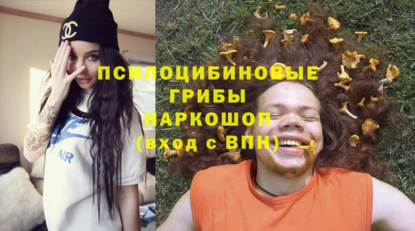 МДПВ Дмитриев