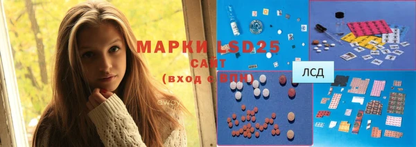 ГАЛЛЮЦИНОГЕННЫЕ ГРИБЫ Гусь-Хрустальный