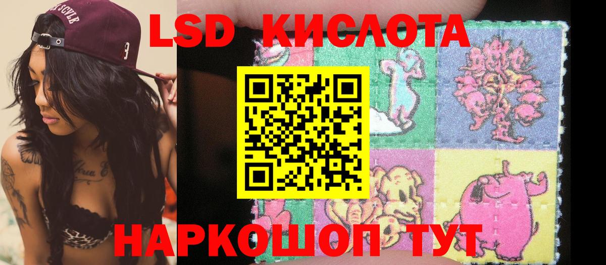 наркошоп  Елизово  Марки NBOMe 1500мкг  Марки NBOMe 1500мкг 