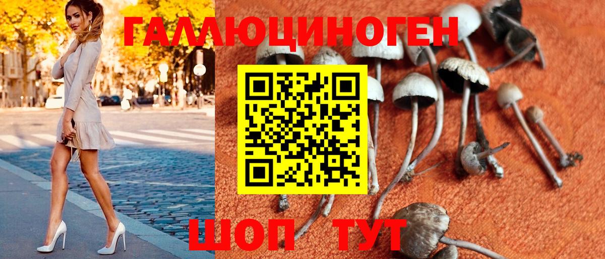 Галлюциногенные грибы MAGIC MUSHROOMS  Псилоцибиновые грибы мухоморы  Елизово 