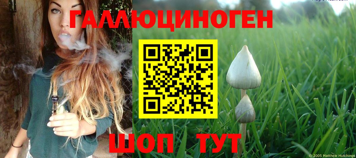 Галлюциногенные грибы GOLDEN TEACHER Елизово