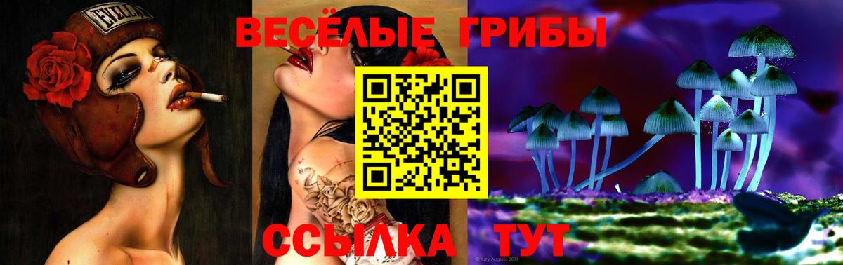 Галлюциногенные грибы GOLDEN TEACHER  Вход с VPN  Елизово 